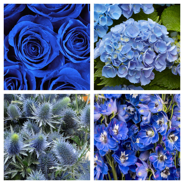 Shades of Blue Bulk Bundle Bunches Direct Canada