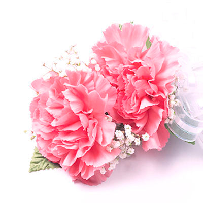 Large Pink Carnation Pin Corsage – Bunches Direct Canada