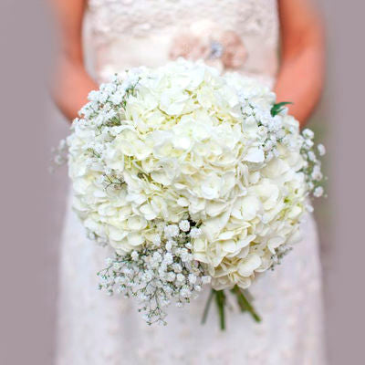 Hydrangea & Baby's Breath Bridal Bouquet