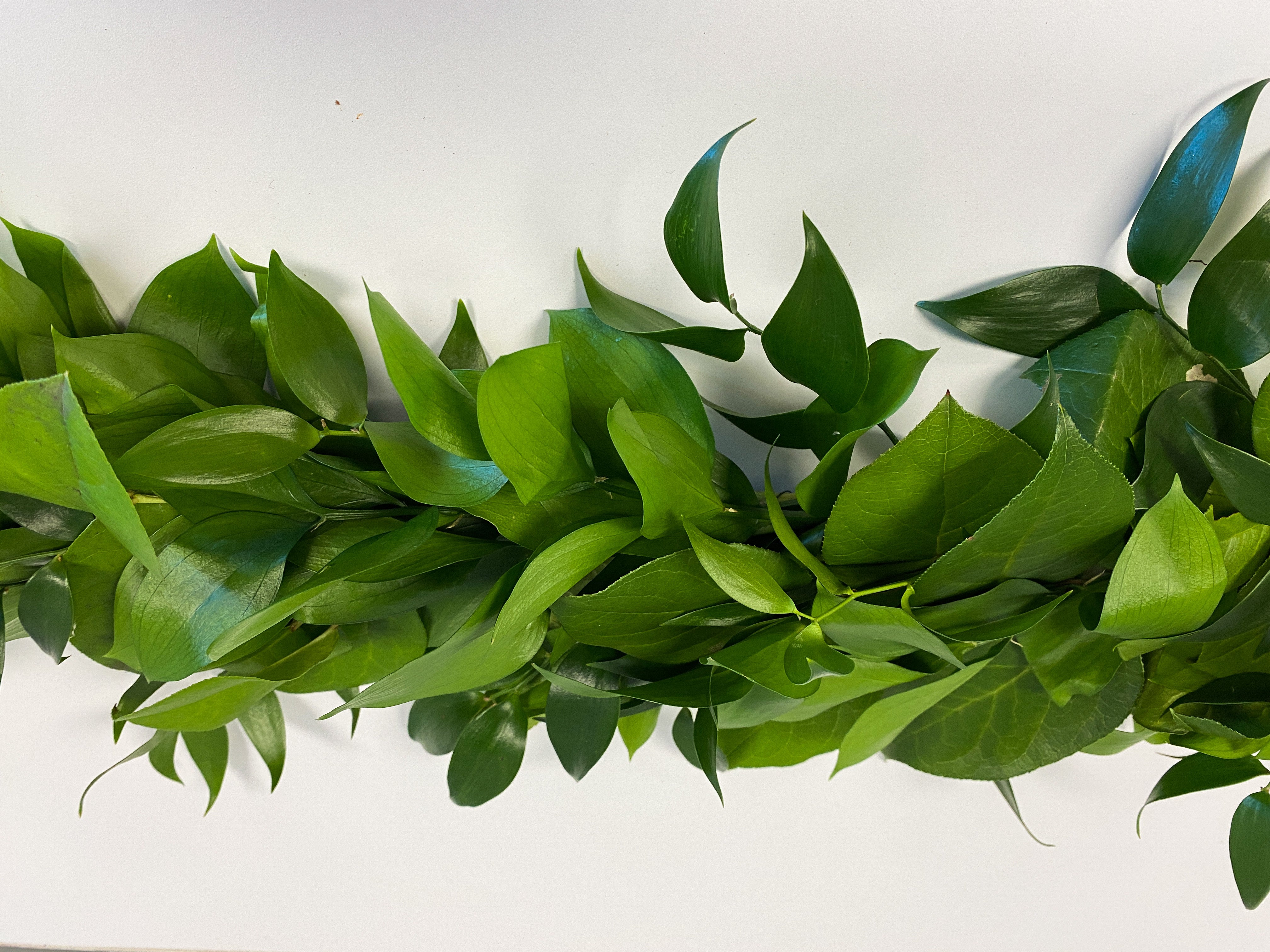 Classical Greenery Garland