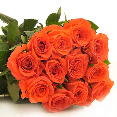 Rose Orange