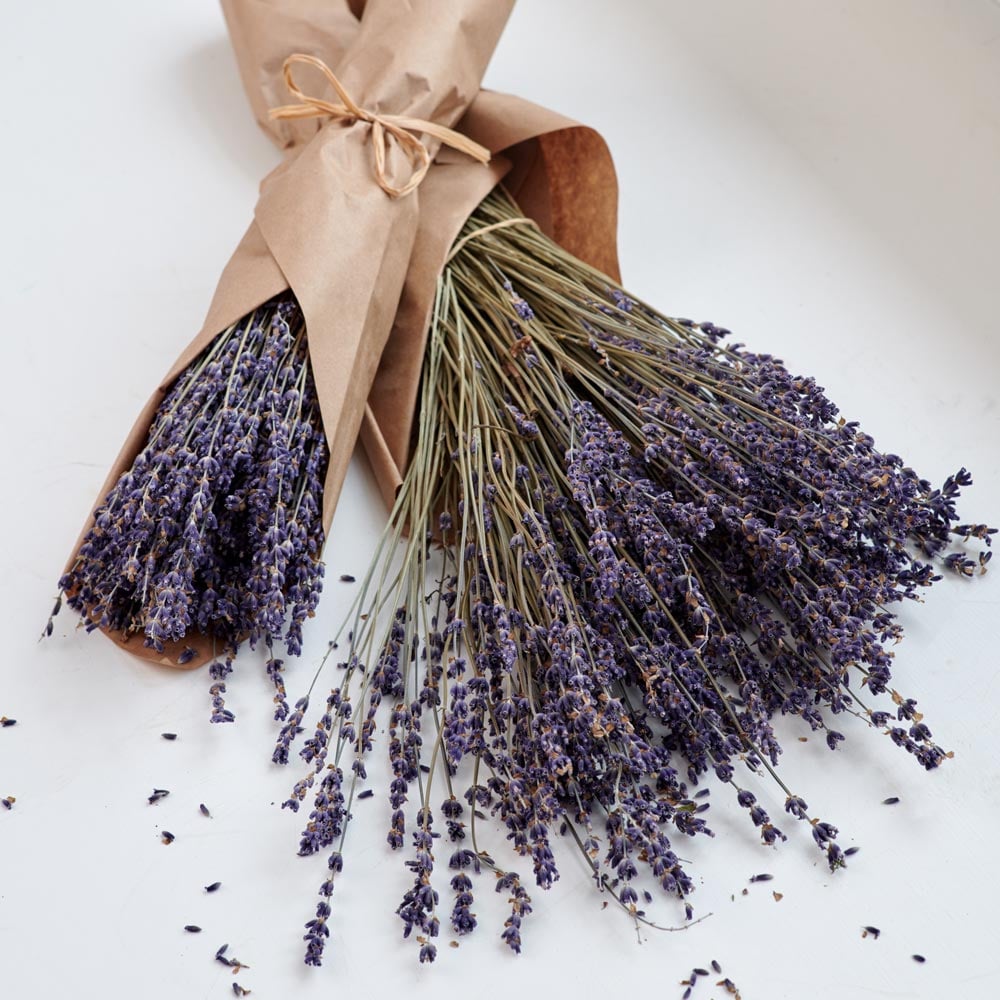 Lavender Dried