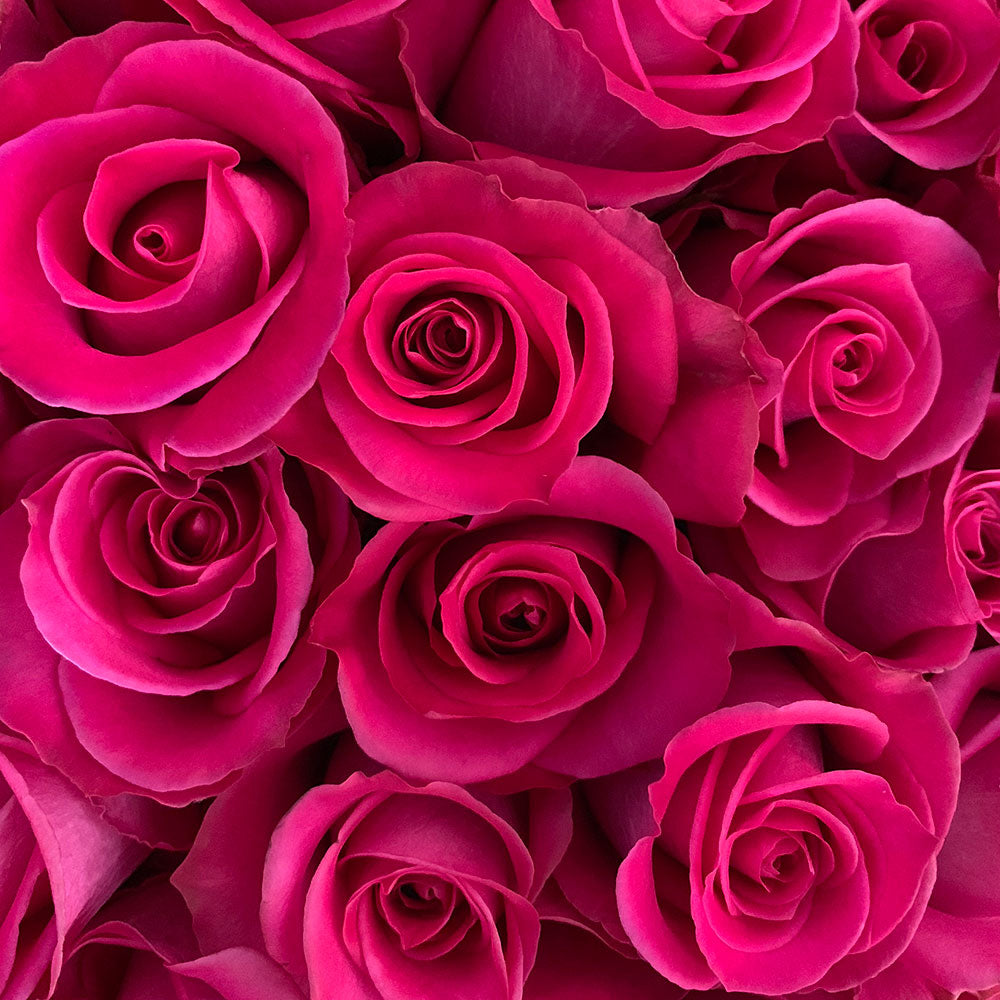 Dusty Pink Colored Wholesale Flowers & Bulk Wedding Flowers