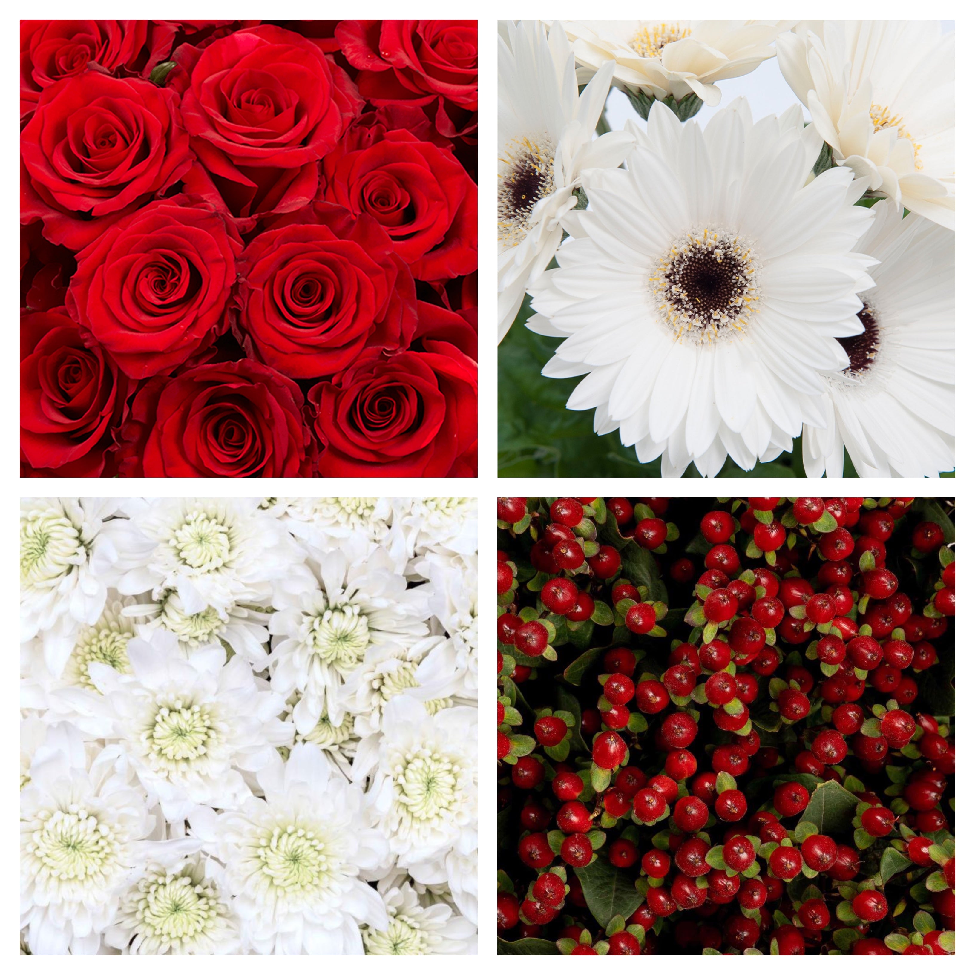 Red and White Bulk Bundle – Bunches Direct Canada