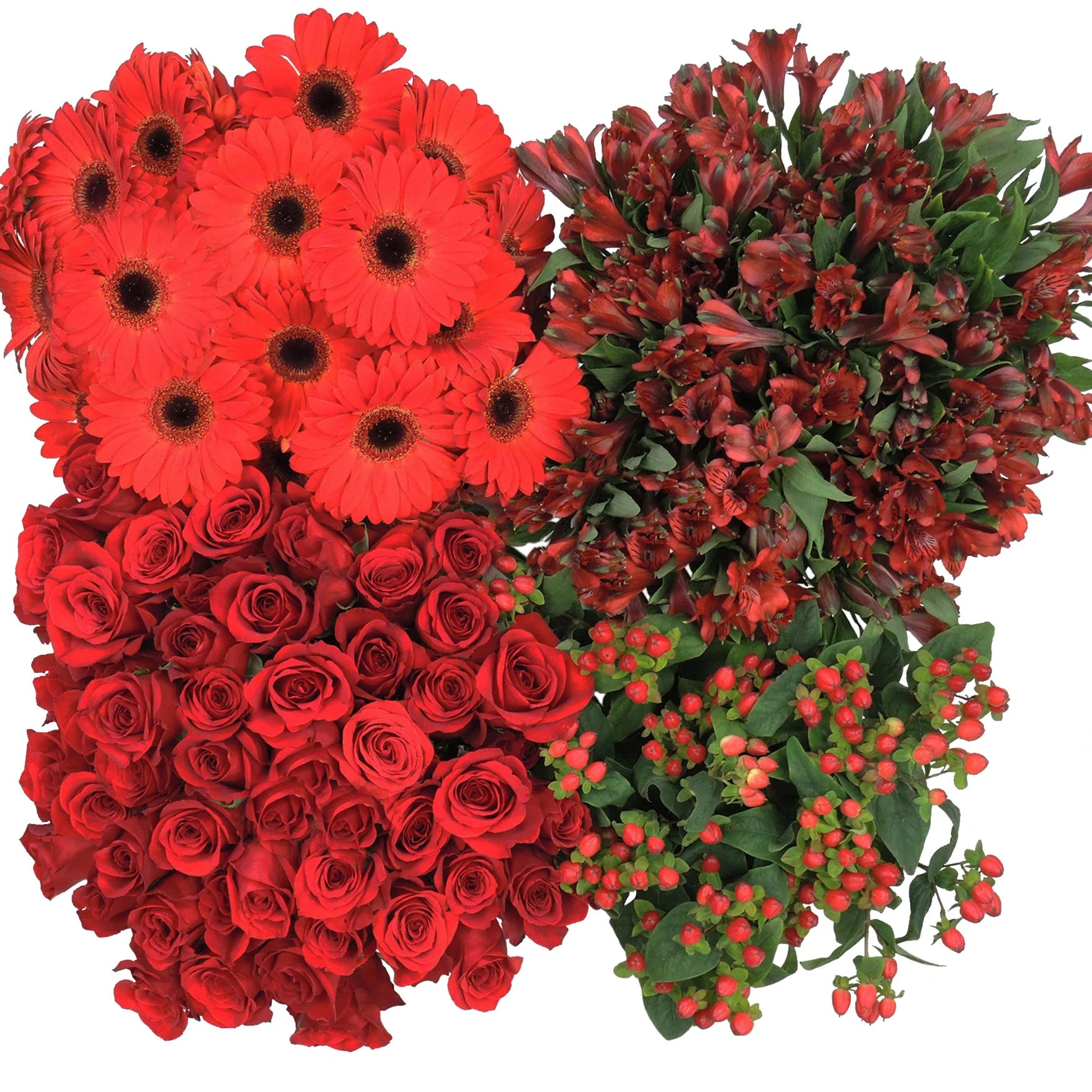 DIY Red Bulk Flower Package