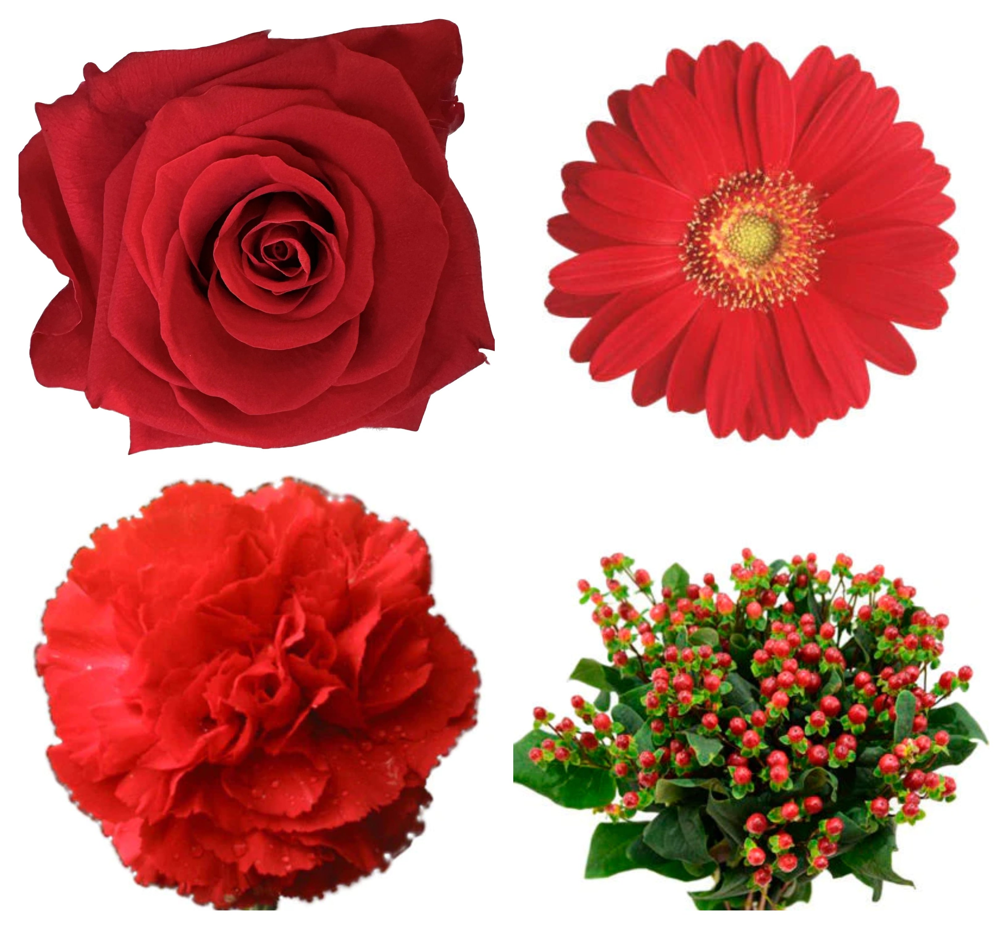 DIY Red Bulk Flower Package