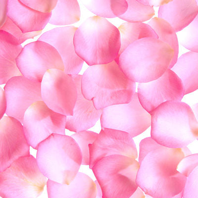 Light Pink Rose Petals – Bunches Direct Canada