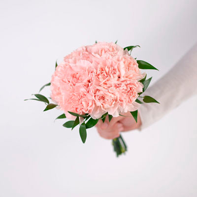Light Pink Carnation Bridesmaid Bouquet