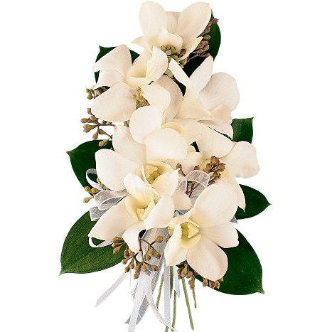 White Dendrobium Orchid Pin Corsage