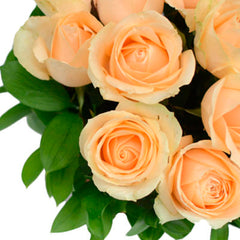 peach-roses_62_medium.jpg?v=