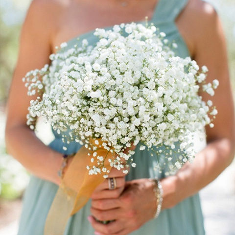 Shop Bulk Babys Breath