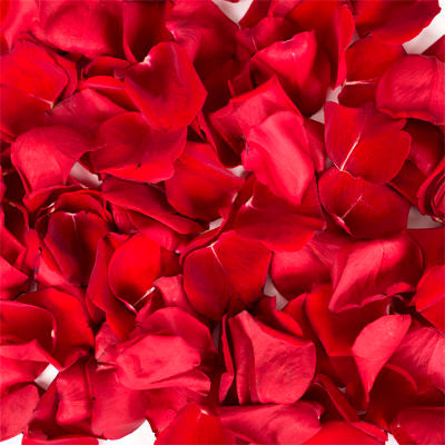 Fresh Red Rose Petals Bag